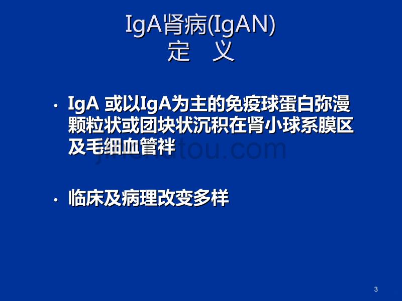 IGAN-曾彩虹PPT课件.ppt_第3页