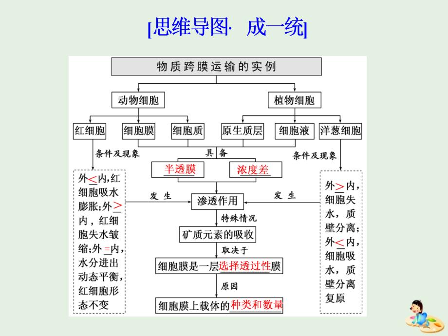 （江苏专版）高考生物一轮复习第二单元第3讲物质跨膜运输的实例和方式课件（必修1）_第4页