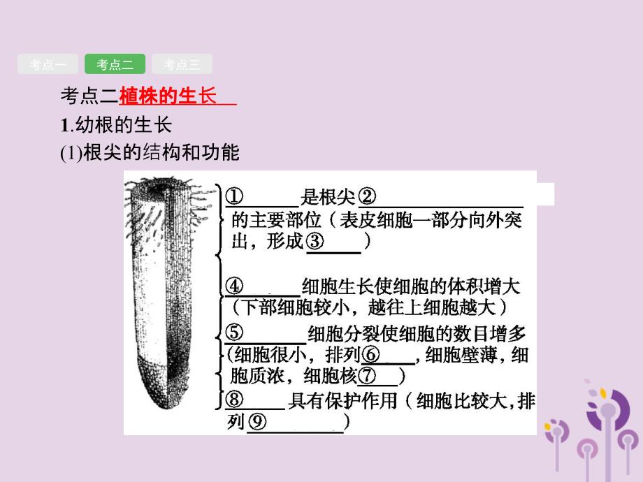 （课标通用）甘肃省中考生物总复习第二单元生物体的结构层次第六讲被子植物的一生课件_第4页