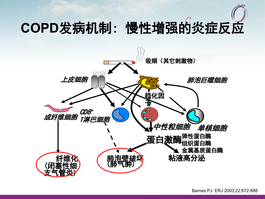 COPD疾病现状_第4页