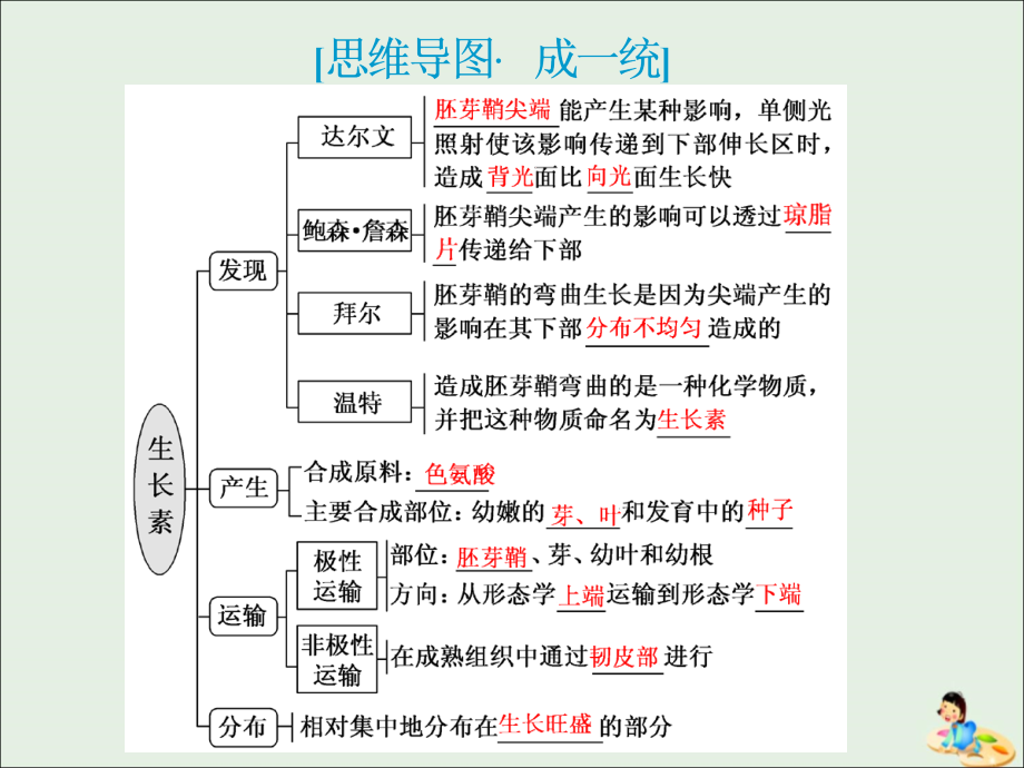 （江苏专版）高考生物一轮复习第二单元植物的激素调节课件（必修3）_第4页