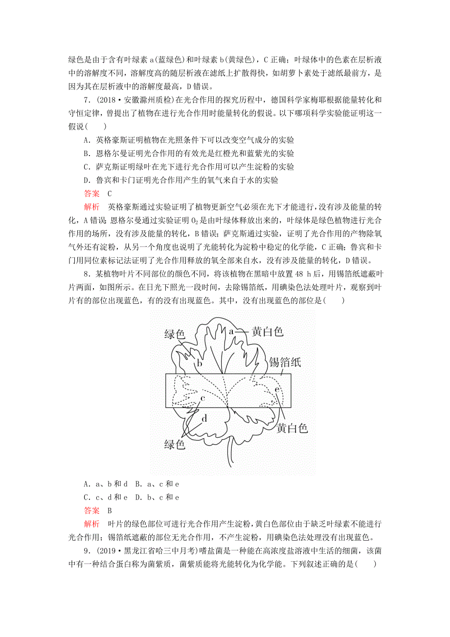 高考生物一轮复习第3单元细胞的能量供应和利用第10讲光与光合作用课后作业（含解析）（必修1）_第3页