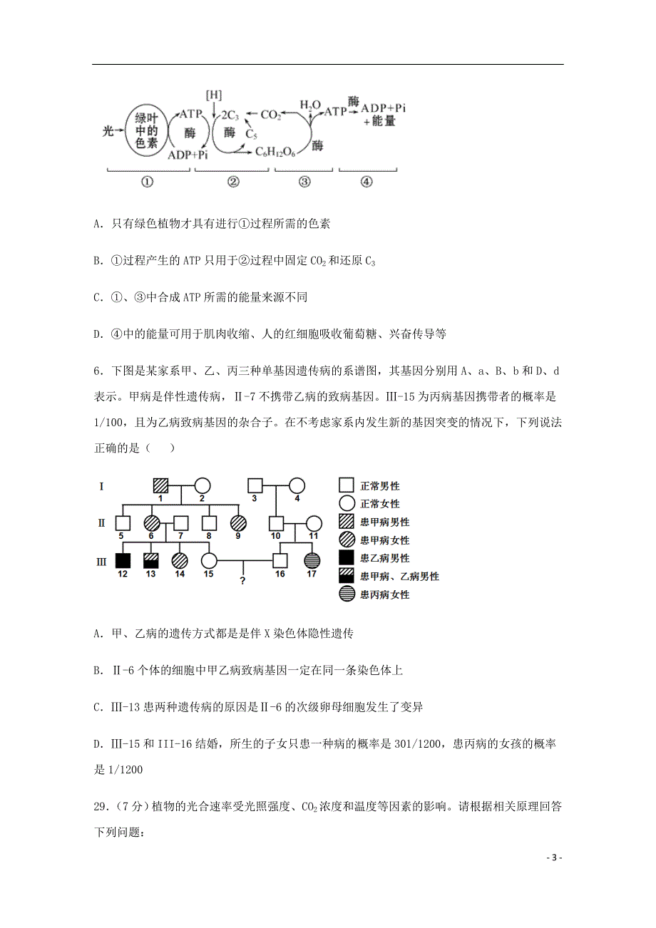 四川省宜宾市第四中学高考生物适应性考试试题_第3页