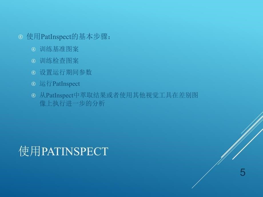 VP08-1-PatInspect-CN-探测缺陷ppt课件.ppt_第5页