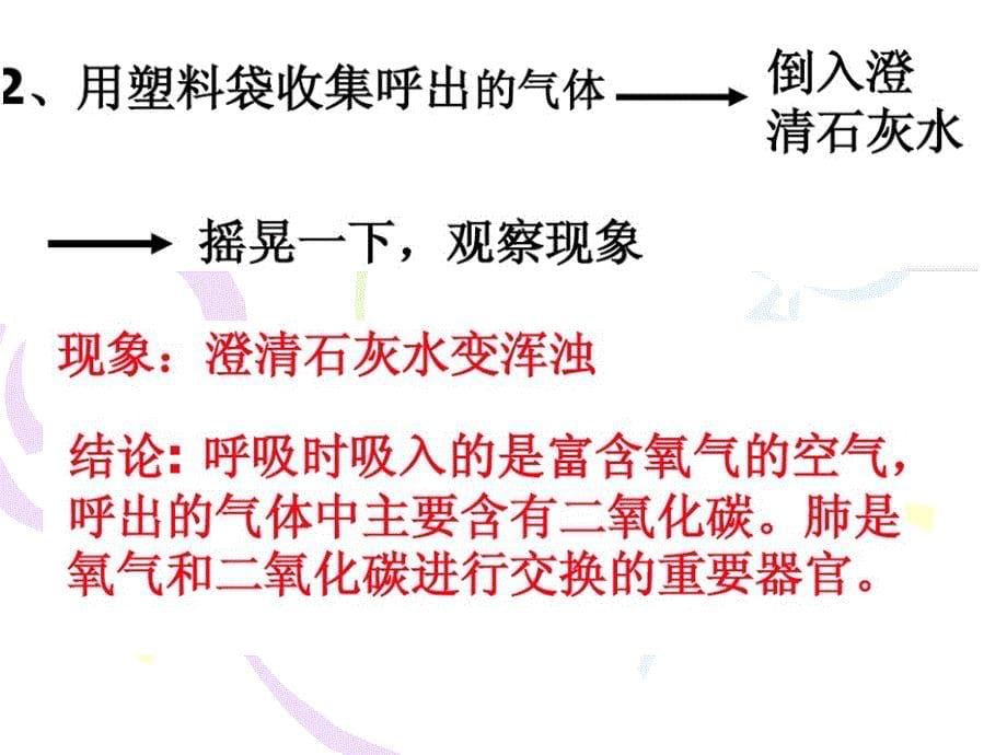 小学五年级（上册）科学肺和呼吸_第5页