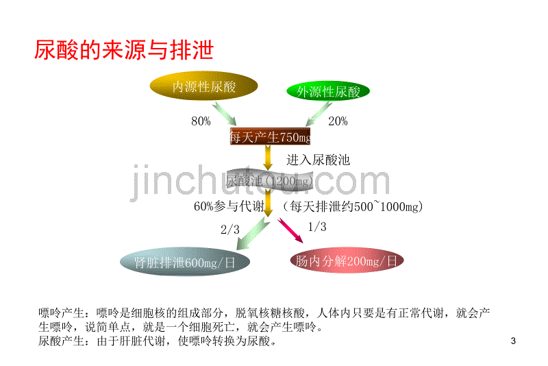 微创新技术治疗痛风疾病PPT课件.ppt_第3页