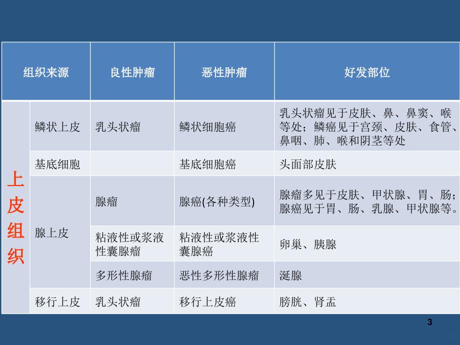 常见肿瘤的病理分类PPT课件.ppt_第3页