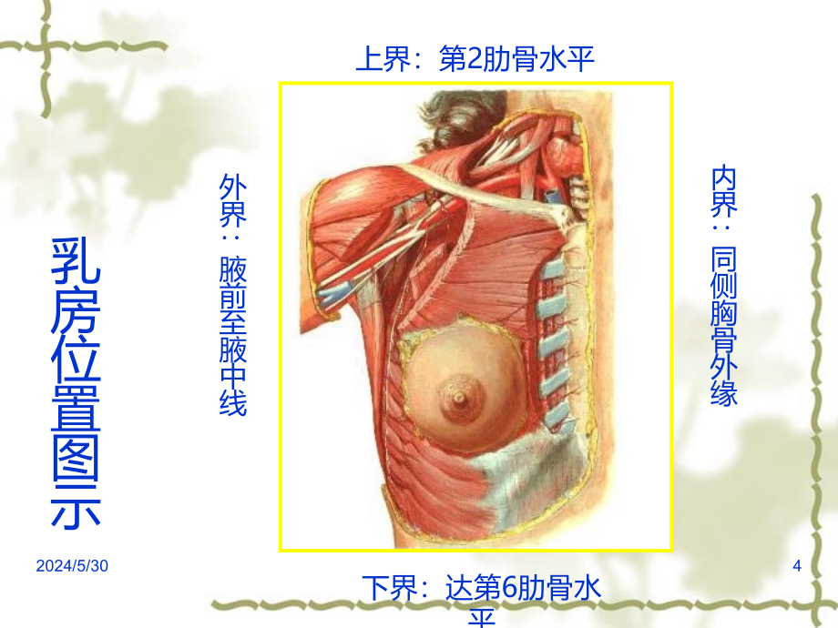 乳房疾病病人的护理PPT课件.ppt_第4页