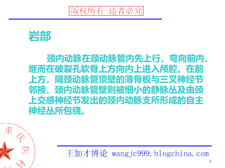 大脑前动脉影像学PPT课件.ppt_第4页