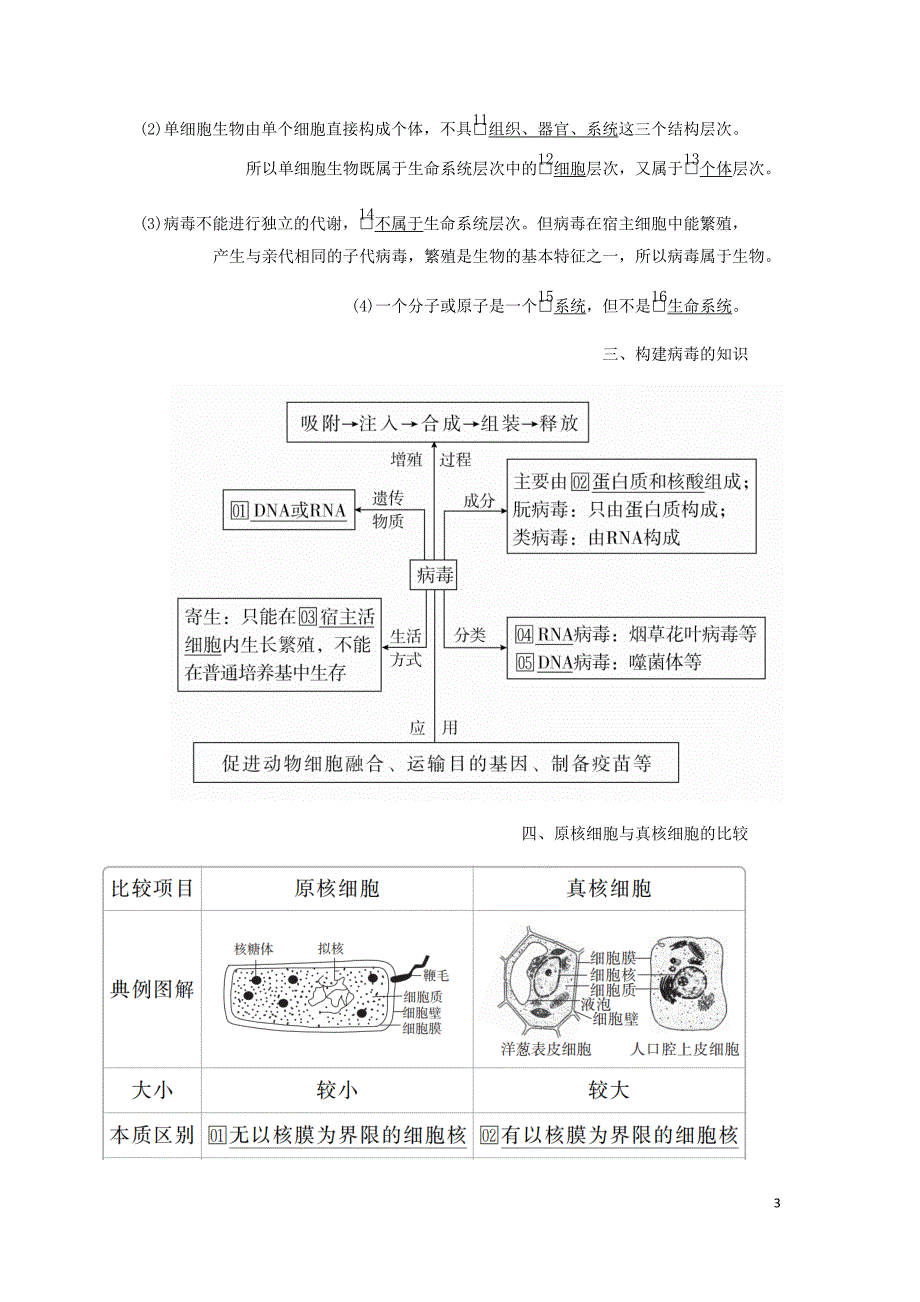 高考生物一轮复习第一单元第1讲走近细胞讲义含解析必修1_第3页