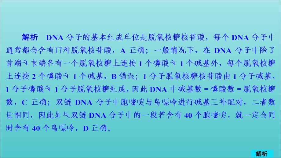 高考生物一轮复习第6单元遗传的物质基础第19讲DNA分子的结构、复制以及基因的本质习题课件（必修2）_第2页