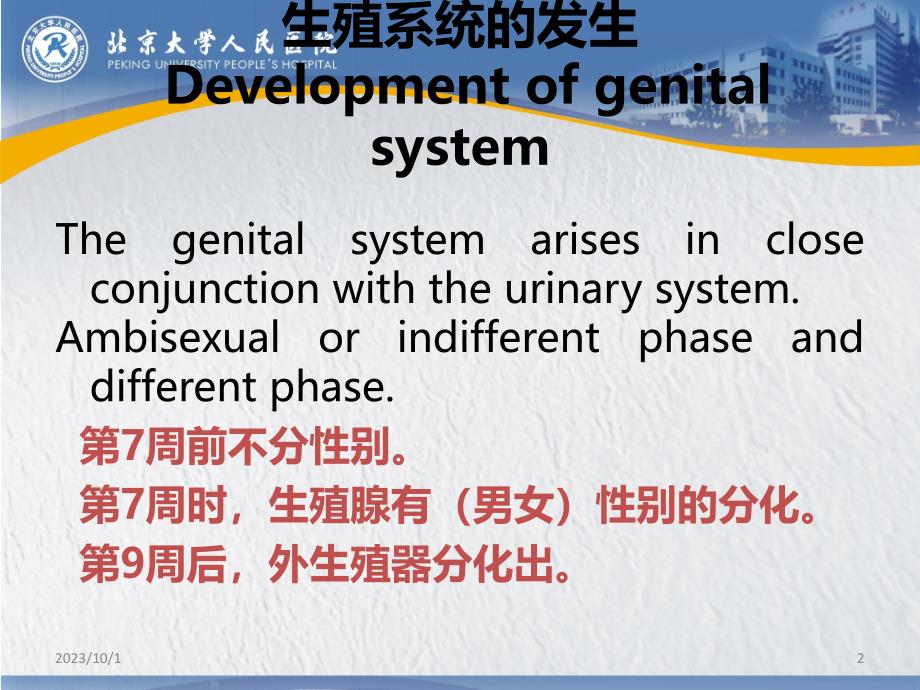 人类生殖系统的发生PPT课件.ppt_第2页