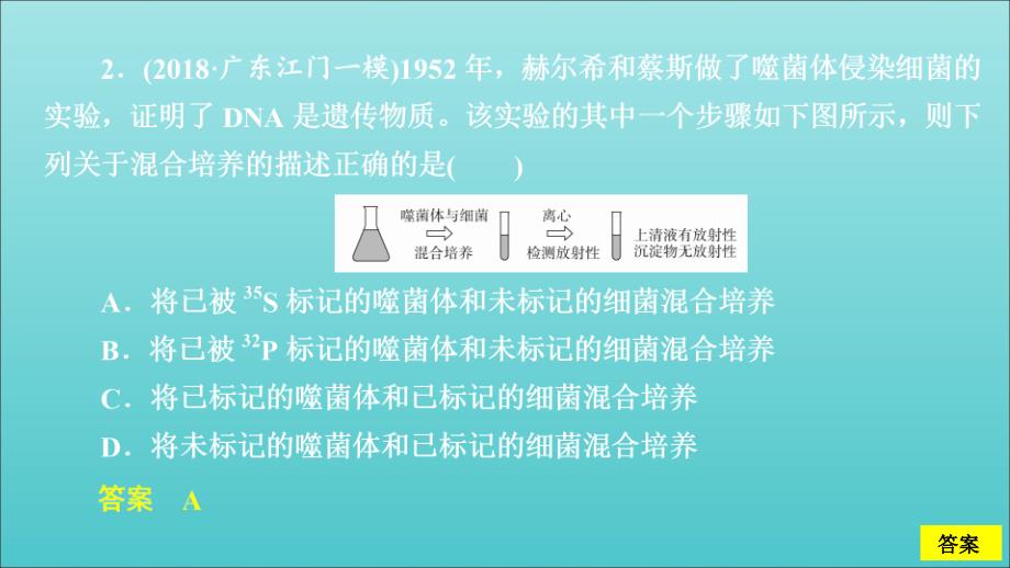 高考生物一轮复习第六单元第19讲DNA是主要的遗传物质习题课件（必修2）_第2页