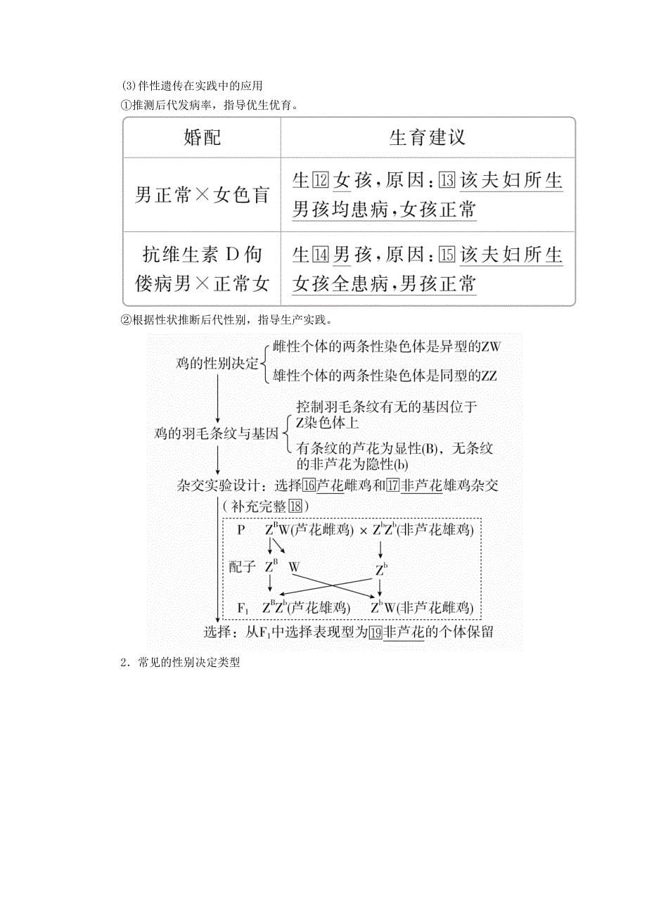 高考生物一轮复习第5单元遗传的基本规律与伴性遗传第16讲基因在染色体上和伴性遗传学案（含解析）（必修2）_第5页