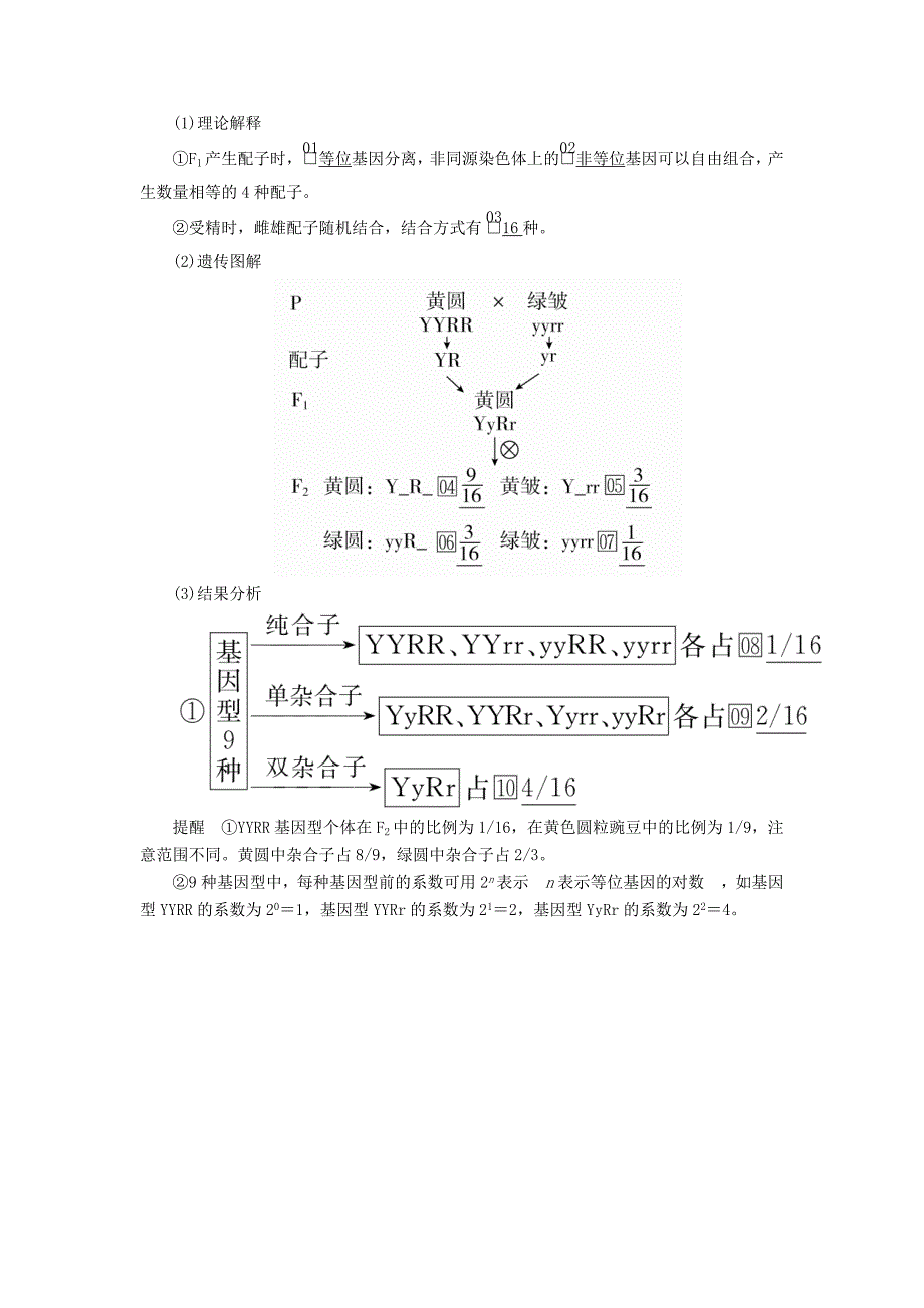 高考生物一轮复习第5单元遗传的基本规律与伴性遗传第15讲基因的自由组合定律学案（含解析）（必修2）_第2页