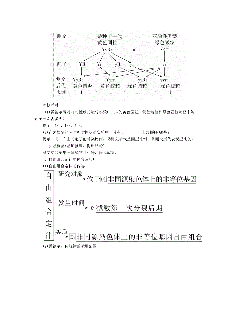 高考生物一轮复习第5单元遗传的基本规律与伴性遗传第15讲基因的自由组合定律学案（含解析）（必修2）_第4页