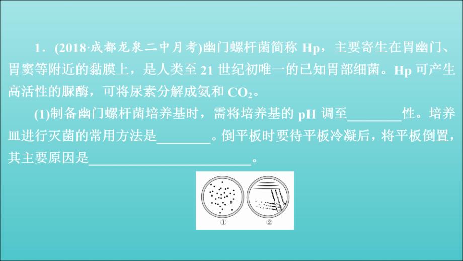 高考生物一轮复习第11单元生物技术实践第38讲微生物的培养与应用习题课件（选修1）_第1页