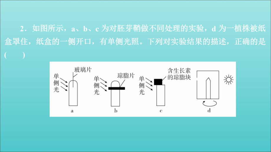 高考生物一轮复习第8单元生命活动的调节第28讲植物激素的调节习题课件（必修3）_第3页