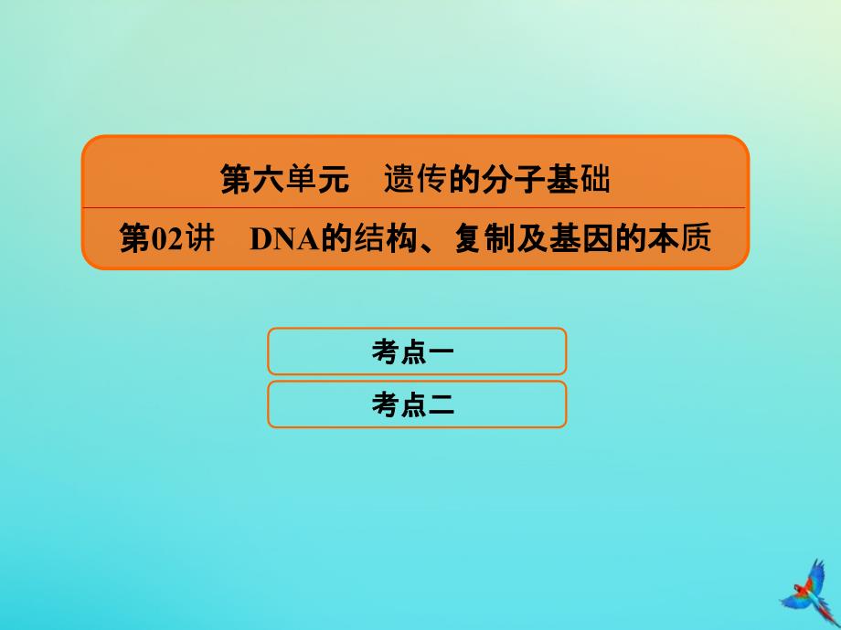 高考生物一轮复习6.2DNA的结构、复制及基因的本质课件_第1页