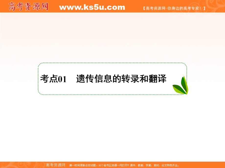 高考生物一轮复习精品课件：1-2-6-22DNA的分子结构、复制及基因的本质_第3页