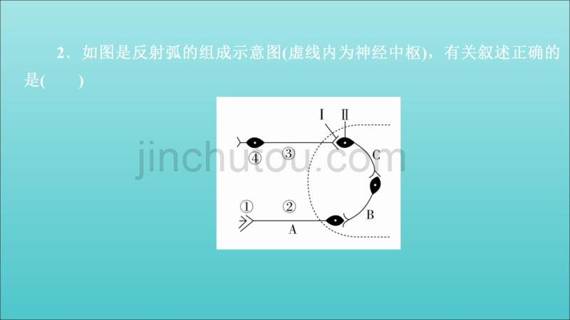 高考生物一轮复习第八单元第26讲通过神经系统的调节习题课件（必修3）_第3页