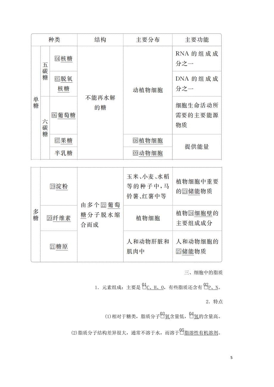 高考生物一轮复习第一单元第4讲核酸糖类和脂质讲义含解析必修1_第5页