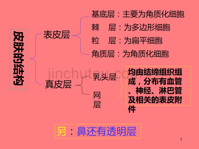 猪皮肤鉴别PPT课件.ppt_第3页