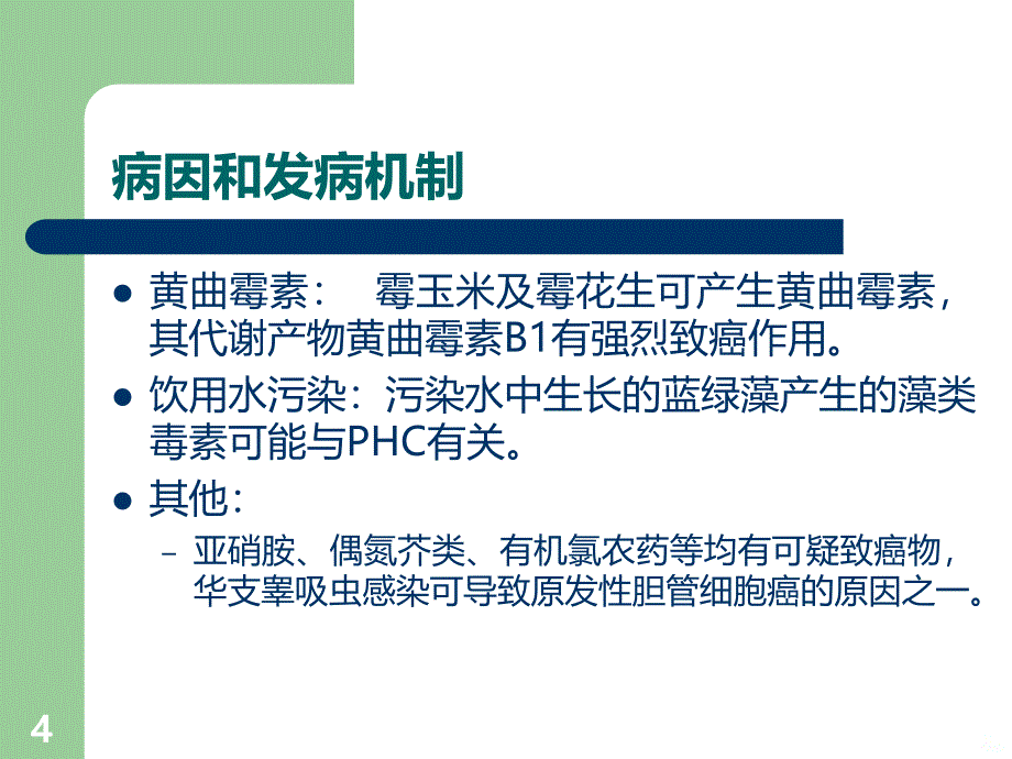 原发性肝癌(PHC)详解PPT课件.ppt_第4页