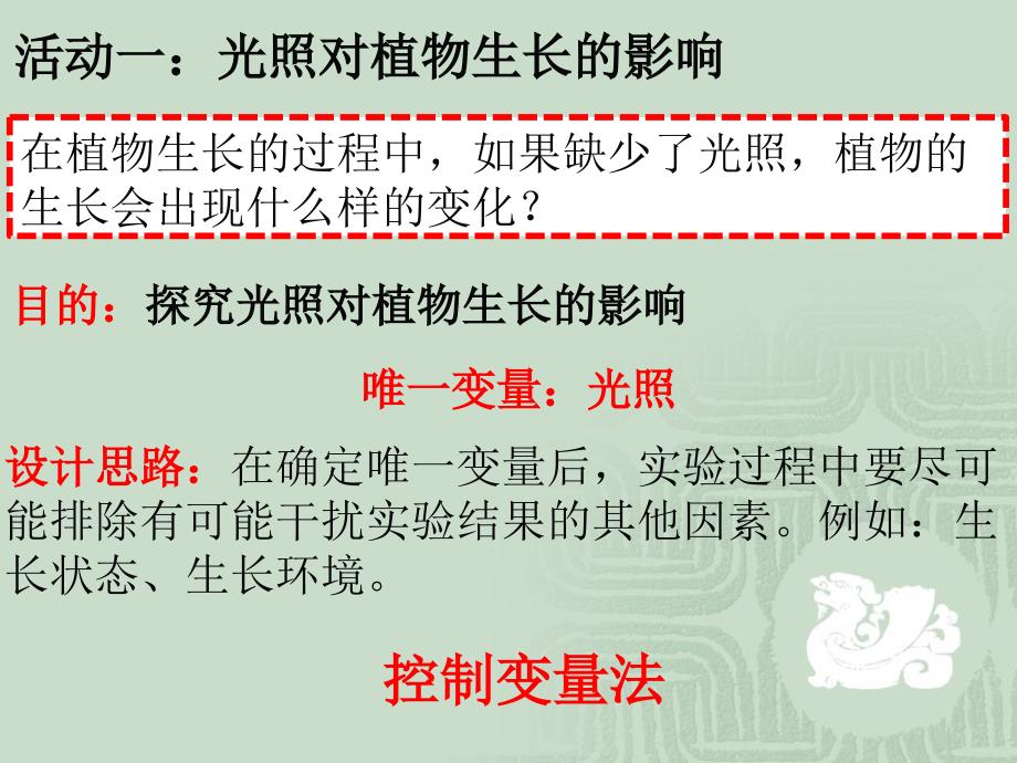 植物需要阳光精选ppt课件.ppt_第3页