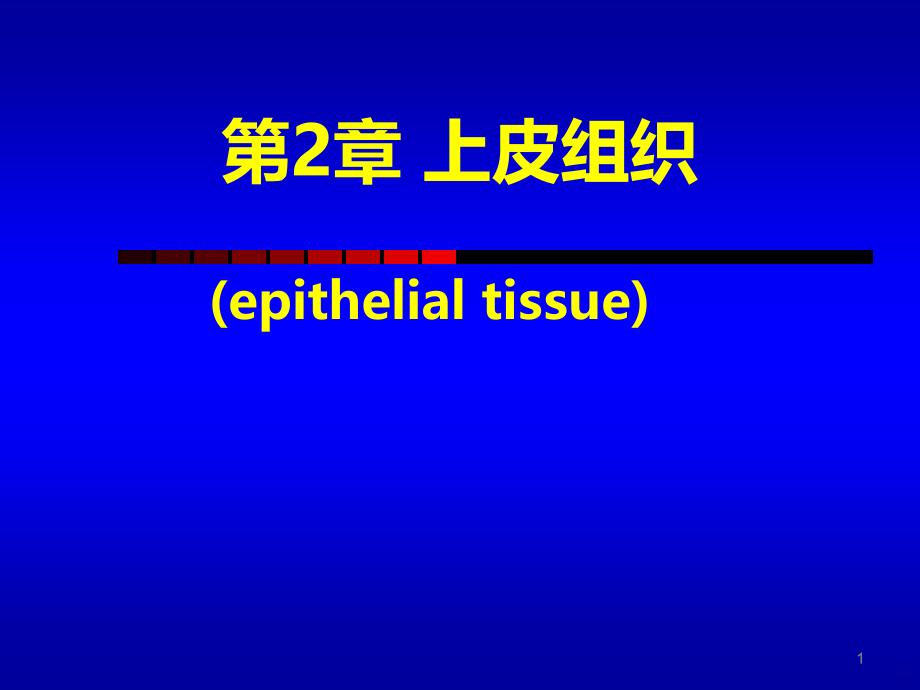 组织学与胚胎学上皮组织PPT课件.ppt_第1页