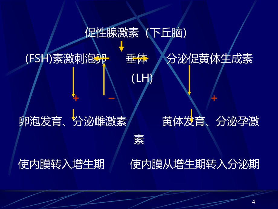 子宫内膜和乳腺疾病PPT课件.ppt_第4页