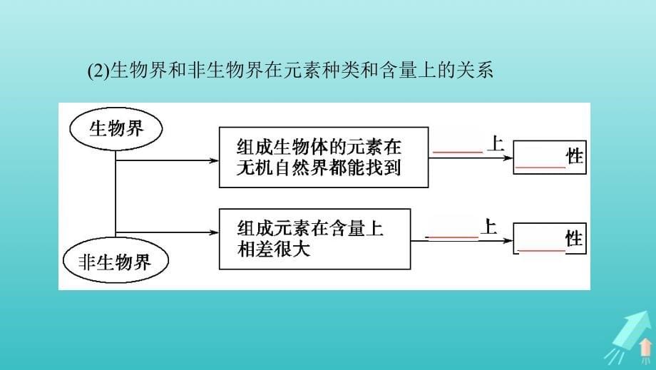 （新高考地区专用版）山东省高考生物新攻略大一轮复习第1单元走近细胞与细胞的分子组成第2讲细胞中的元素和化合物细胞中的无机物课件_第5页