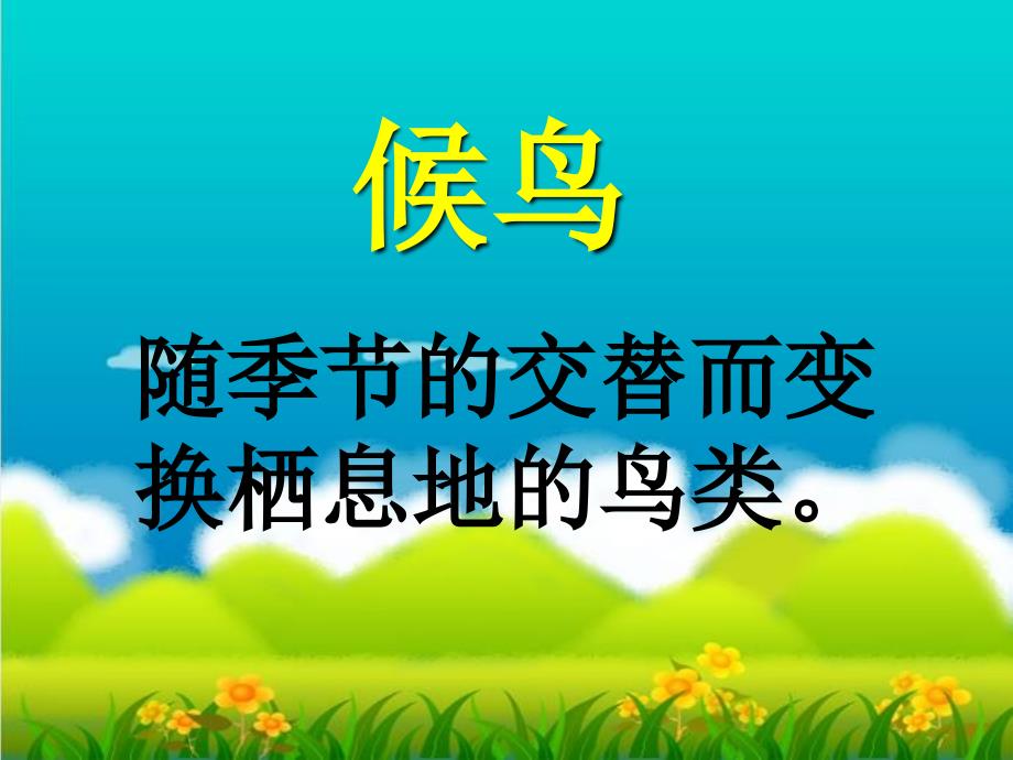 苏教版四年级语文下册《天鹅的故事》课件_第2页