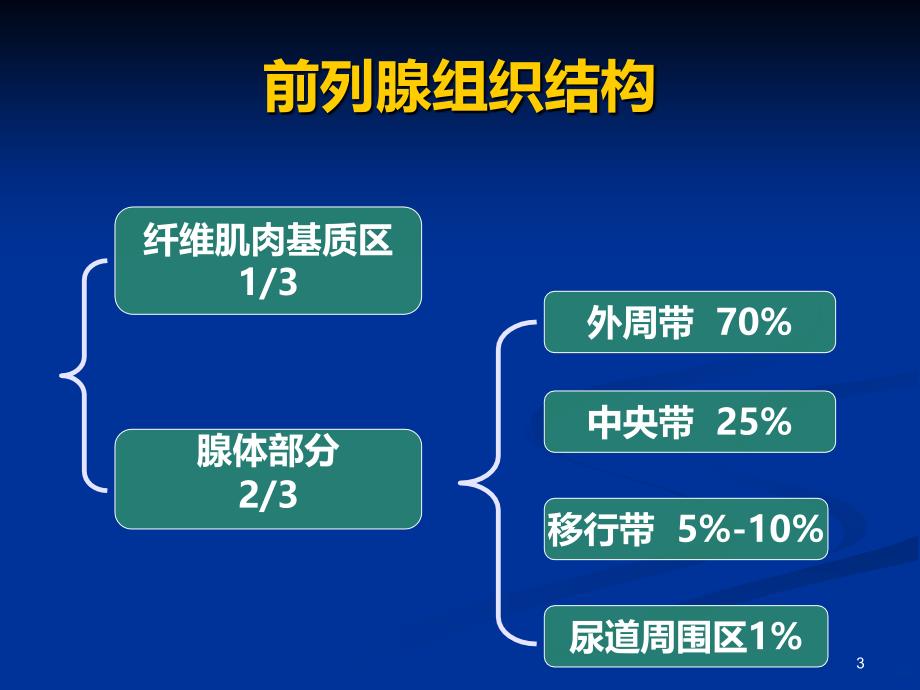 前列腺的MR检查PPT课件.ppt_第3页