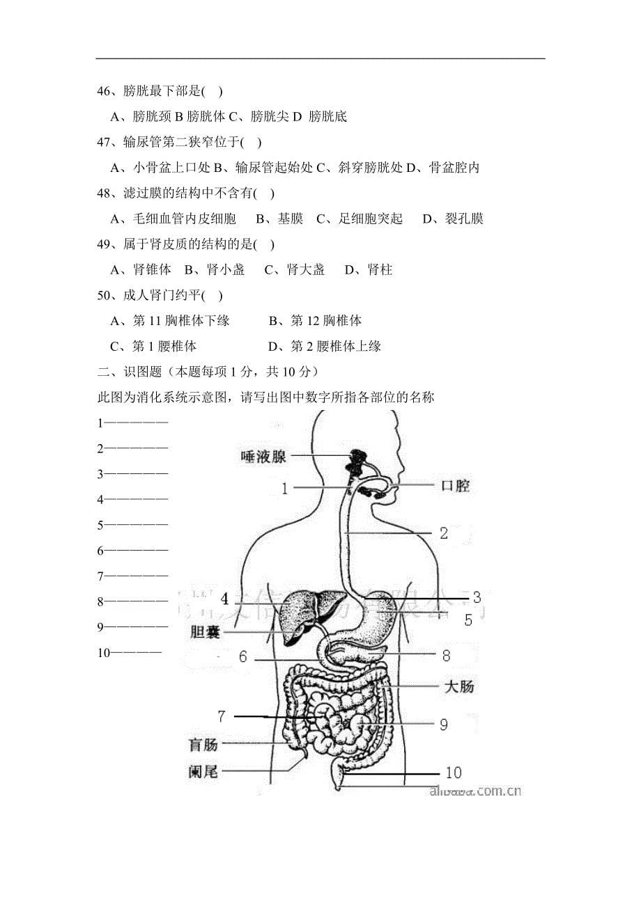 解剖学基础期末测试题_第5页