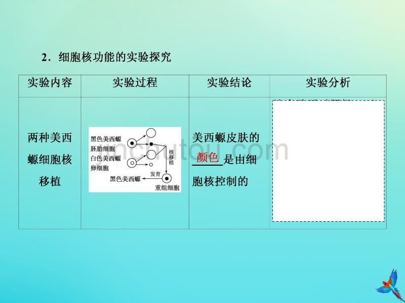 高考生物一轮复习2.1细胞膜与细胞核课件_第3页