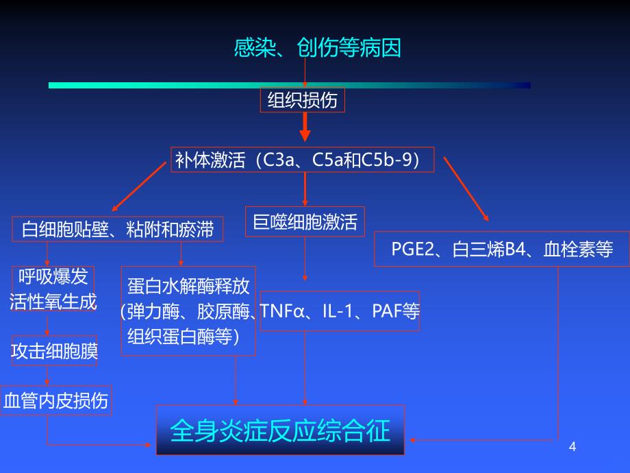 炎症介质与细胞因子PPT课件.ppt_第4页