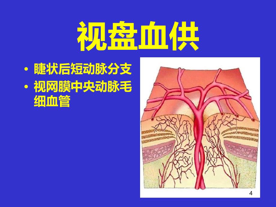 眼底血管荧光造影-文档PPT课件.ppt_第4页