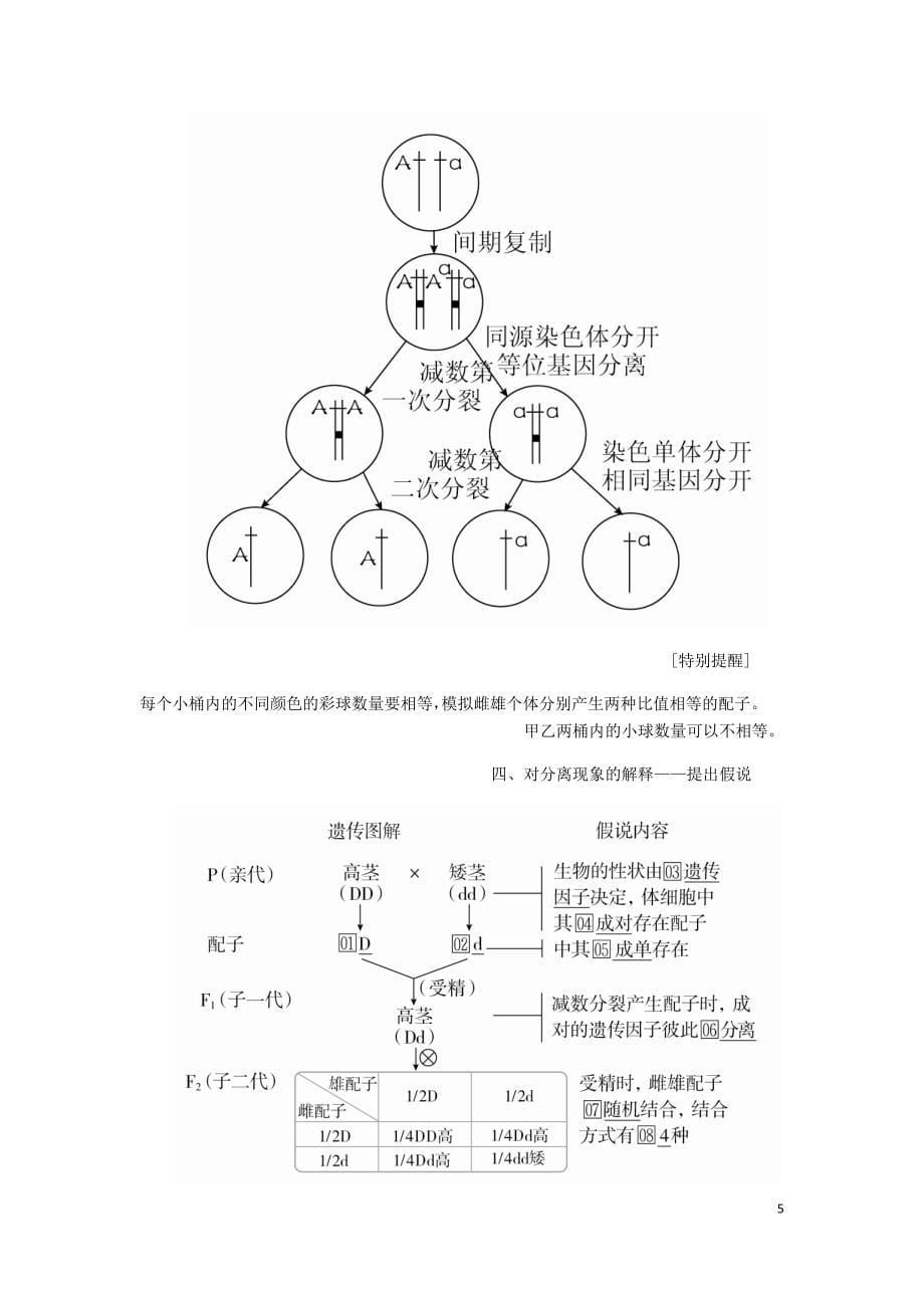 高考生物一轮复习第五单元第15讲基因的分离定律讲义含解析必修2_第5页