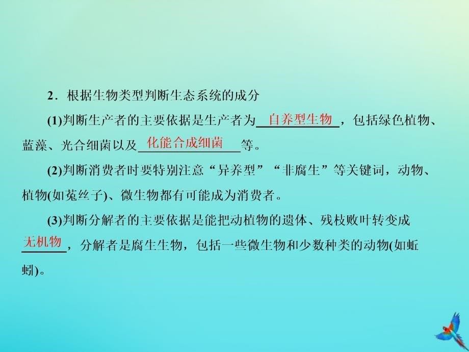 高考生物一轮复习9.3生态系统的结构课件_第5页