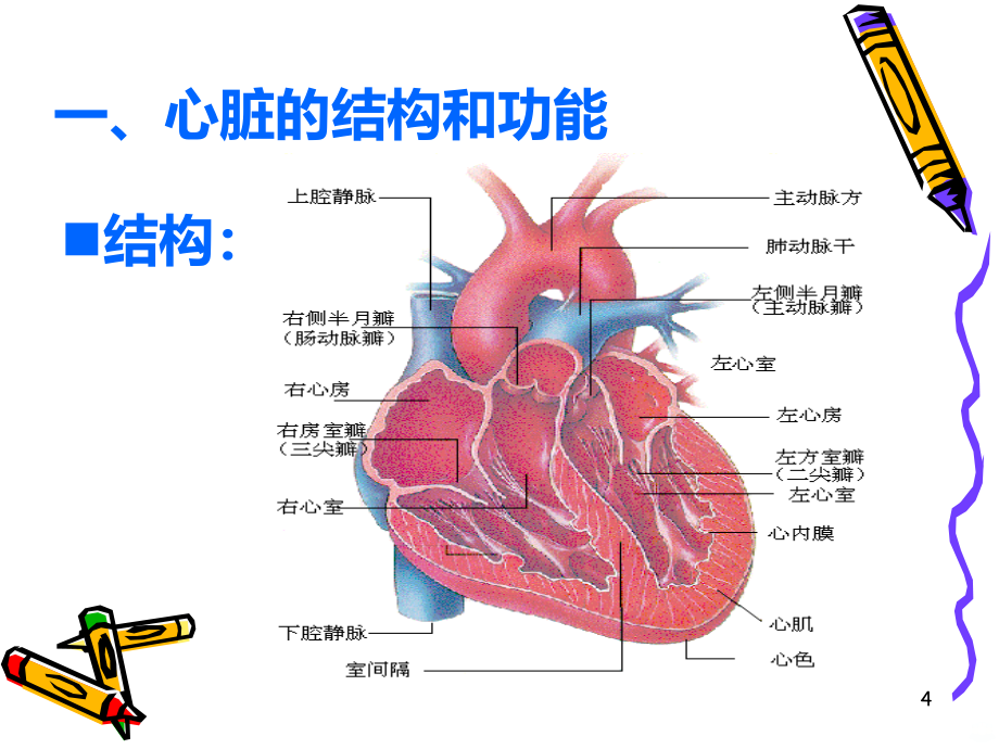 心血管疾病生物化学检验PPT课件.ppt_第4页