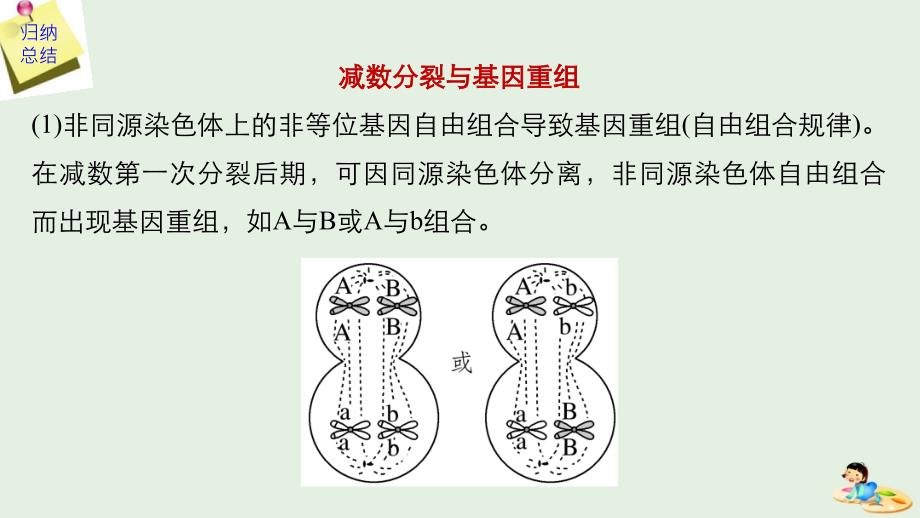 高考生物新导学大一轮复习第四单元细胞的生命历程热点题型四透过细胞分裂图像解决减数分裂与可遗传变异的关系课件北师大版_第4页