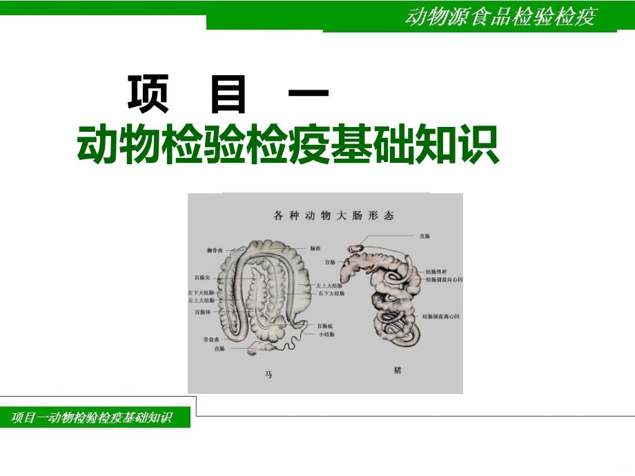 动物检验检疫基础知识PPT课件.ppt_第1页