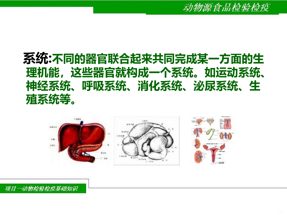 动物检验检疫基础知识PPT课件.ppt_第4页