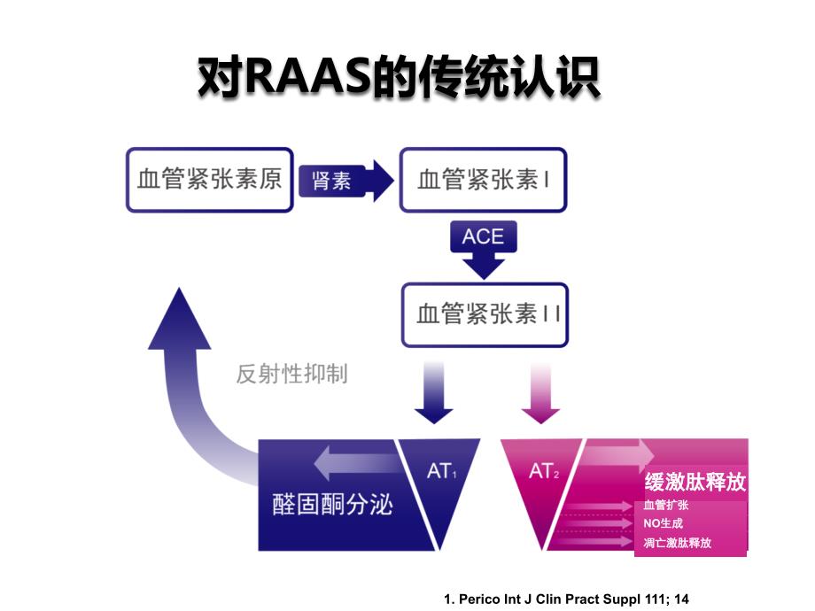 ACEI机制之我见(南昌)PPT课件.ppt_第2页