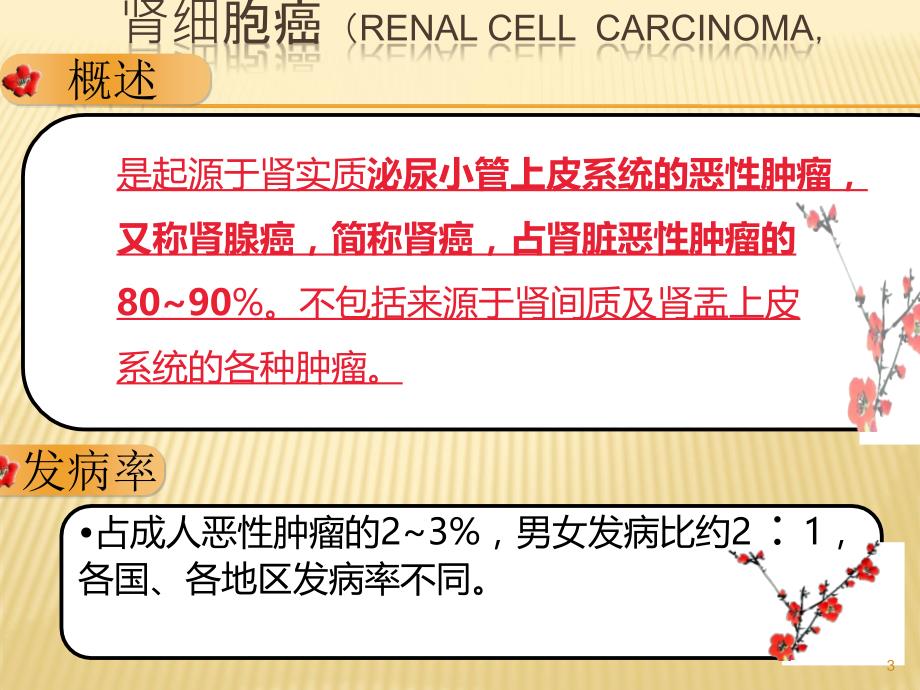 肾细胞癌诊断治疗指南PPT课件.ppt_第3页