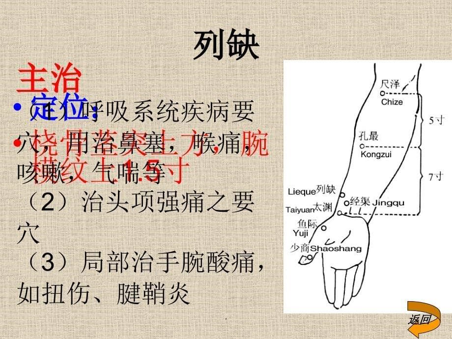 常用穴位的定位及应用专业课件PPT.ppt_第5页