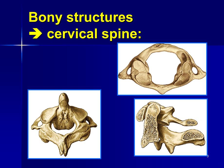 颈椎椎弓根螺钉及侧块螺钉技术PPT课件.ppt_第3页