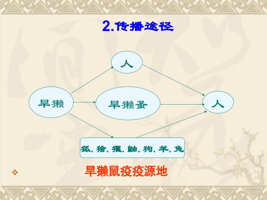 鼠疫的发病机制及其临床诊断与治疗ppt课件.ppt_第4页