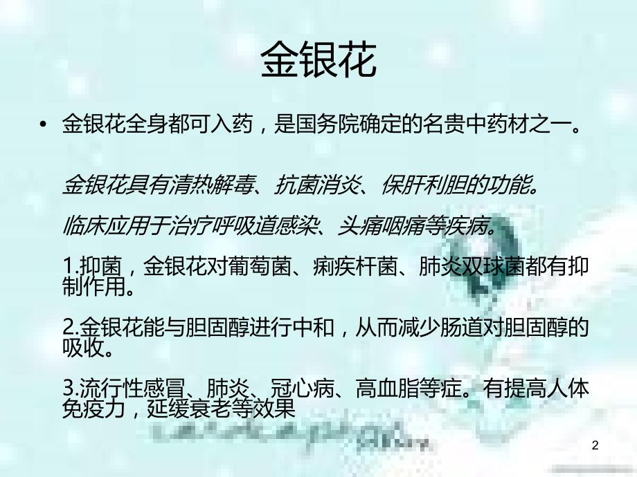 几种常见中草药PPT课件.ppt_第2页